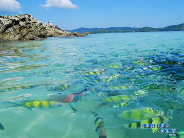 Phuket Speed Boat Charter Khai Island