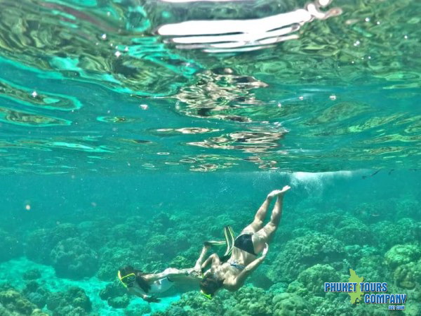 Phuket Speed Boat Charter Phi Phi Island